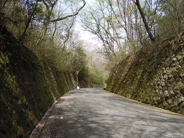 仁和寺への道