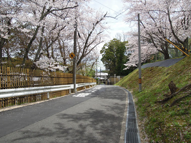 仁和寺への道
